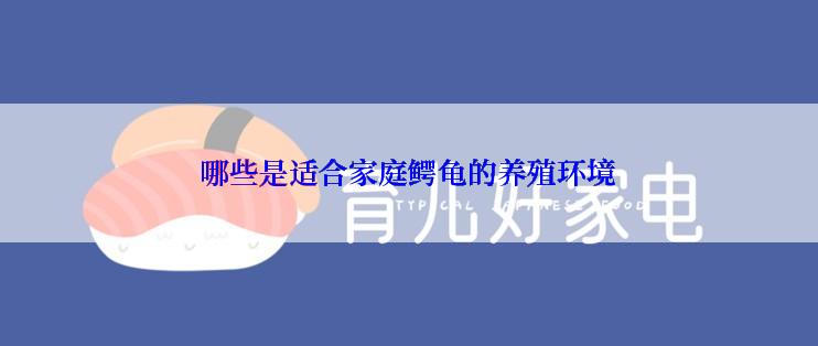 哪些是适合家庭鳄龟的养殖环境