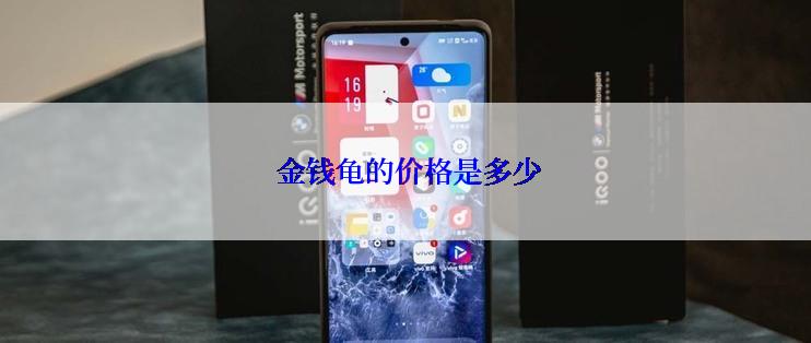 金钱龟的价格是多少