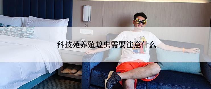 科技苑养殖蝗虫需要注意什么