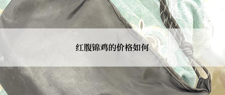 红腹锦鸡的价格如何