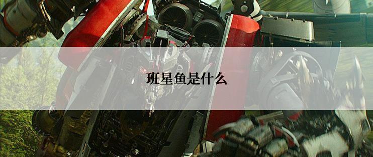 班星鱼是什么