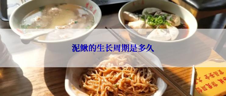 泥鳅的生长周期是多久