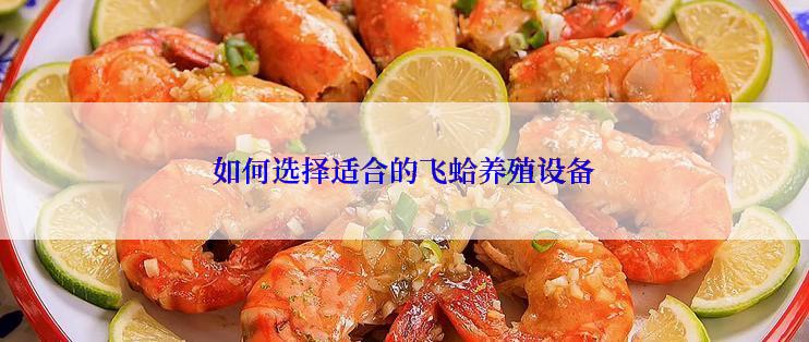 如何选择适合的飞蛤养殖设备