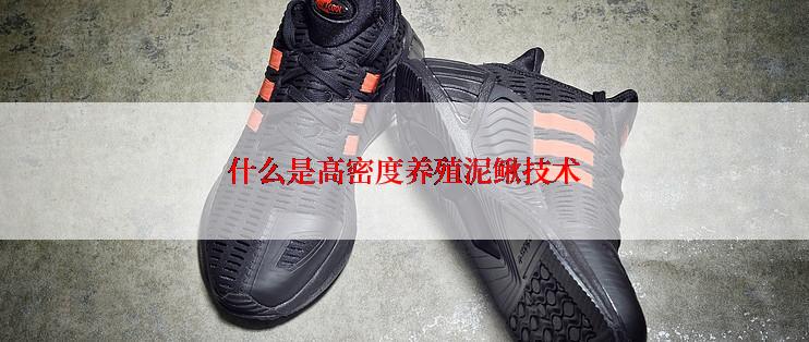 什么是高密度养殖泥鳅技术