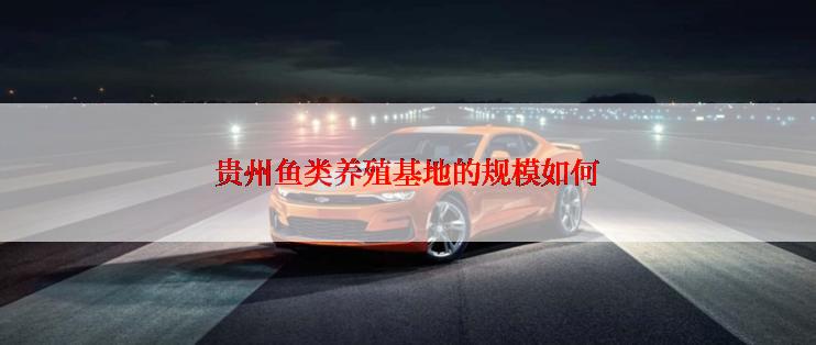 贵州鱼类养殖基地的规模如何
