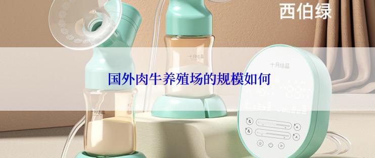 国外肉牛养殖场的规模如何