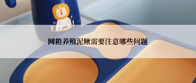 网箱养殖泥鳅需要注意哪些问题