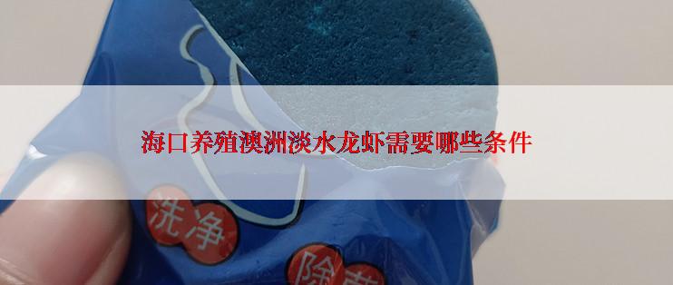 海口养殖澳洲淡水龙虾需要哪些条件