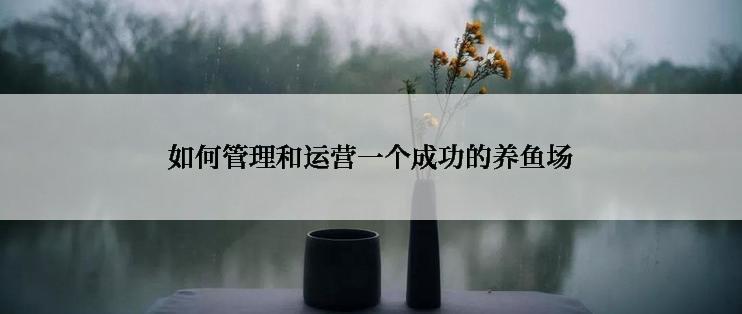 如何管理和运营一个成功的养鱼场