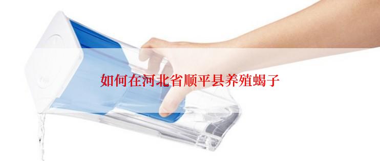 如何在河北省顺平县养殖蝎子