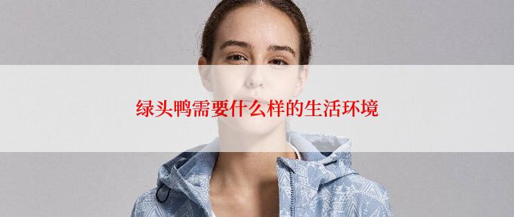 绿头鸭需要什么样的生活环境
