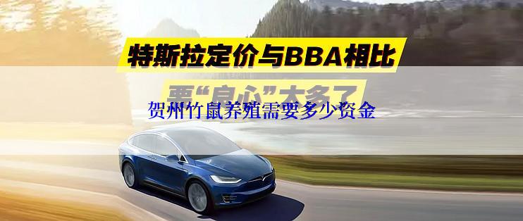 贺州竹鼠养殖需要多少资金