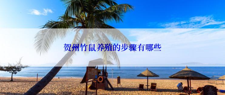 贺州竹鼠养殖的步骤有哪些