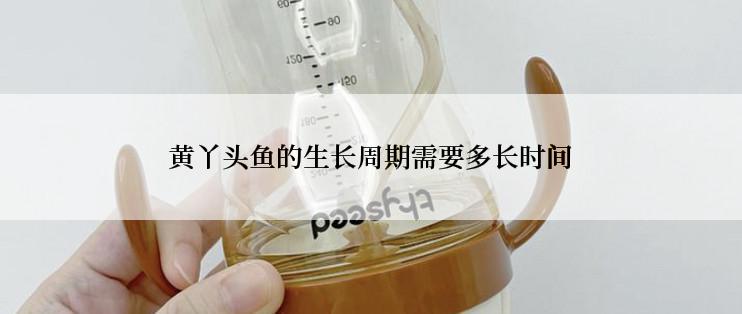 黄丫头鱼的生长周期需要多长时间