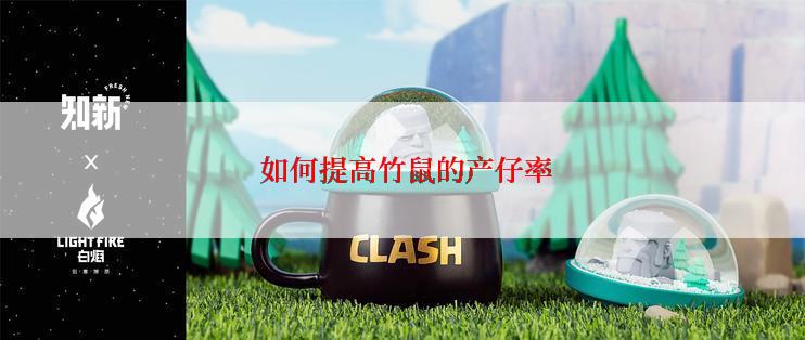  如何提高竹鼠的产仔率