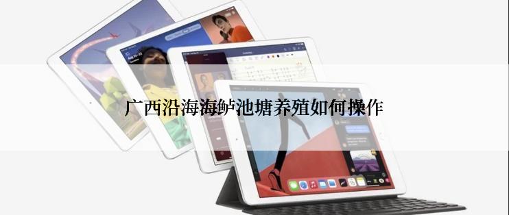 广西沿海海鲈池塘养殖如何操作