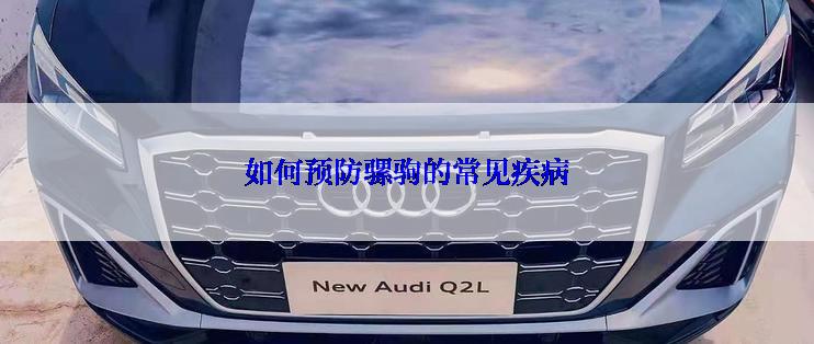 如何预防骡驹的常见疾病