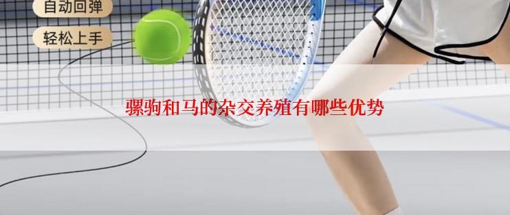 骡驹和马的杂交养殖有哪些优势