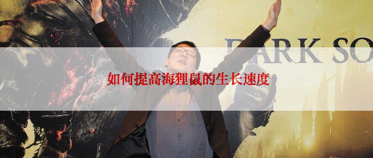  如何提高海狸鼠的生长速度