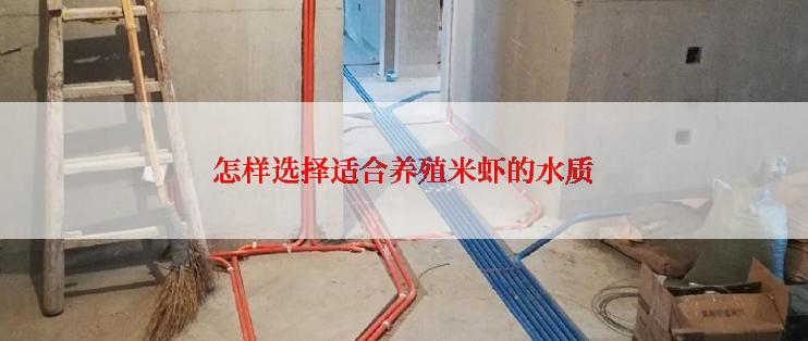 怎样选择适合养殖米虾的水质