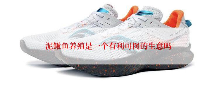 泥鳅鱼养殖是一个有利可图的生意吗