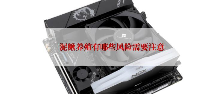 泥鳅养殖有哪些风险需要注意