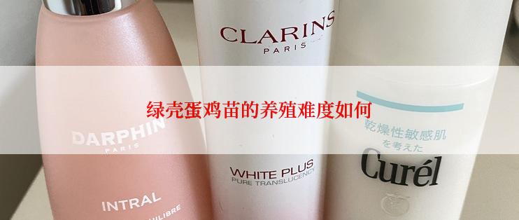 绿壳蛋鸡苗的养殖难度如何