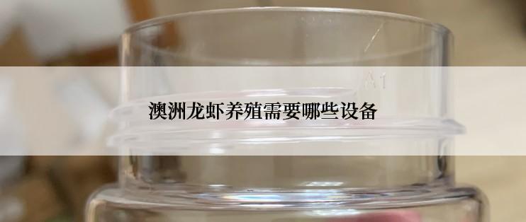 澳洲龙虾养殖需要哪些设备