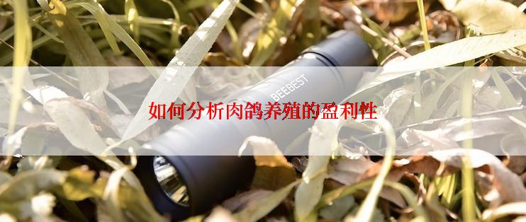 如何分析肉鸽养殖的盈利性