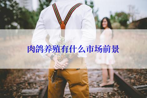 肉鸽养殖有什么市场前景