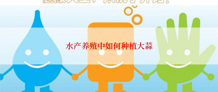 水产养殖中如何种植大蒜