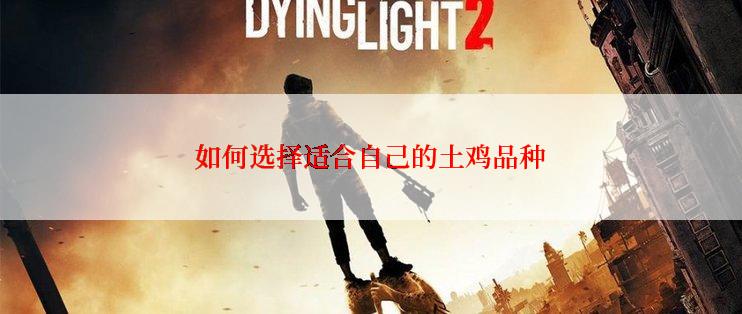 如何选择适合自己的土鸡品种