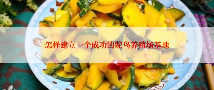 怎样建立一个成功的鸵鸟养殖场基地