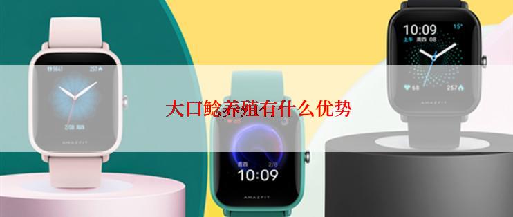  大口鲶养殖有什么优势