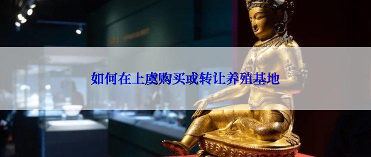 如何在上虞购买或转让养殖基地