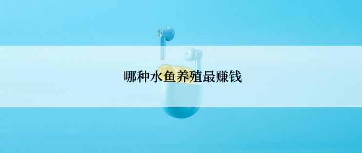  哪种水鱼养殖最赚钱