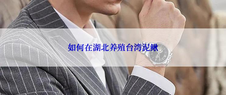 如何在湖北养殖台湾泥鳅