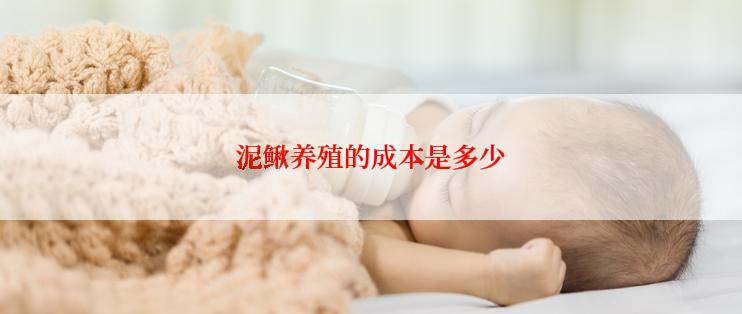 泥鳅养殖的成本是多少