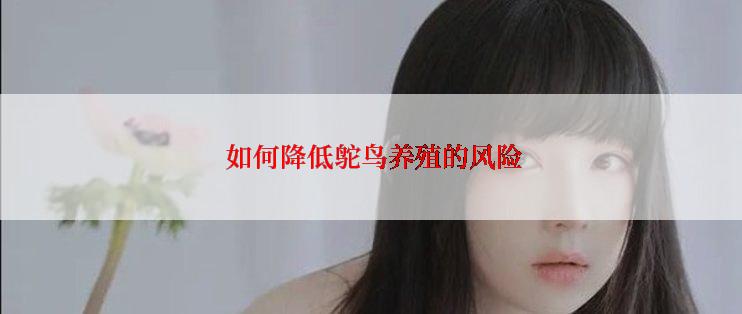 如何降低鸵鸟养殖的风险