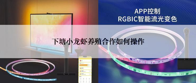 下塘小龙虾养殖合作如何操作