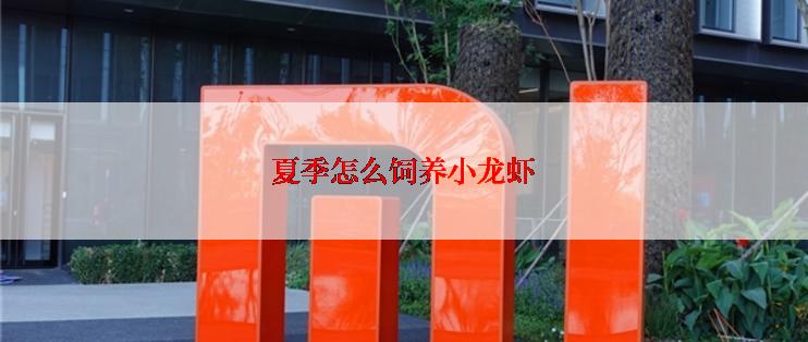 夏季怎么饲养小龙虾