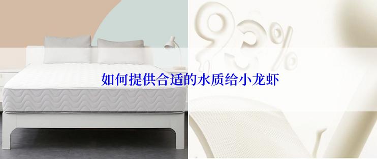  如何提供合适的水质给小龙虾