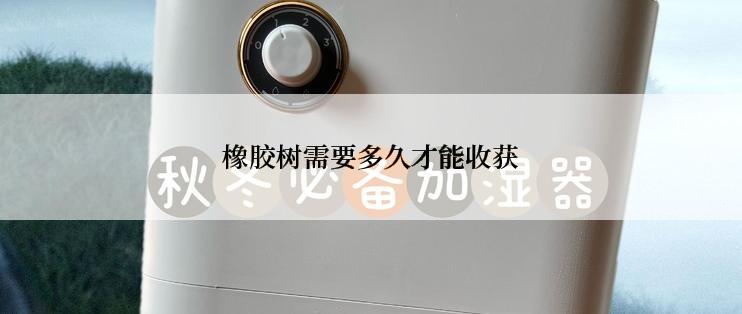 橡胶树需要多久才能收获