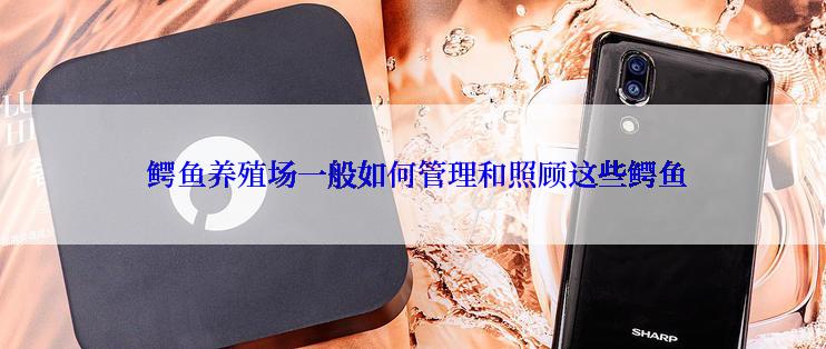  鳄鱼养殖场一般如何管理和照顾这些鳄鱼