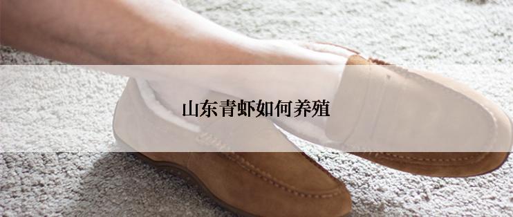 山东青虾如何养殖