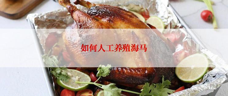 如何人工养殖海马