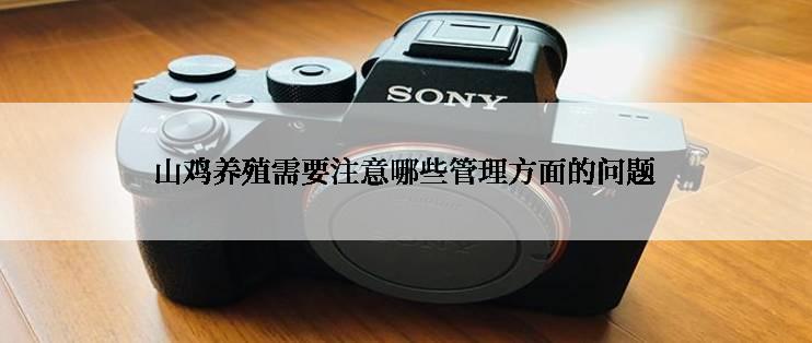 山鸡养殖需要注意哪些管理方面的问题