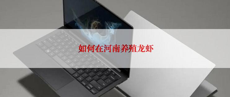如何在河南养殖龙虾