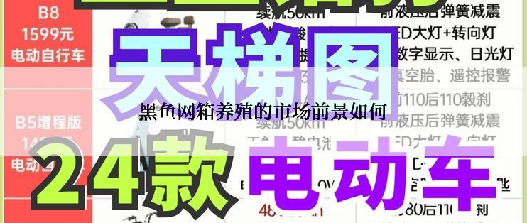 黑鱼网箱养殖的市场前景如何