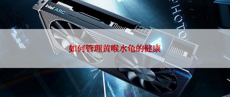 如何管理黄喉水龟的健康